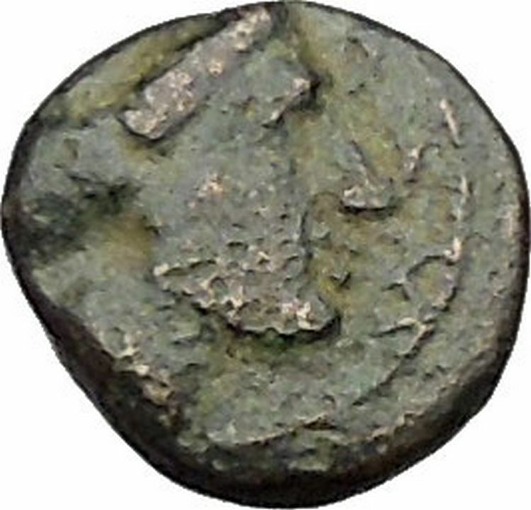 Lampsakos in Mysia 400BC Rare Ancient Greek Coin Female head Pegasus i46036