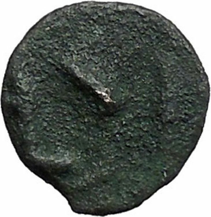 ISTROS Thrace 500BC Wheel Money Authentic Ancient Greek Coin BLACK SEA i48212