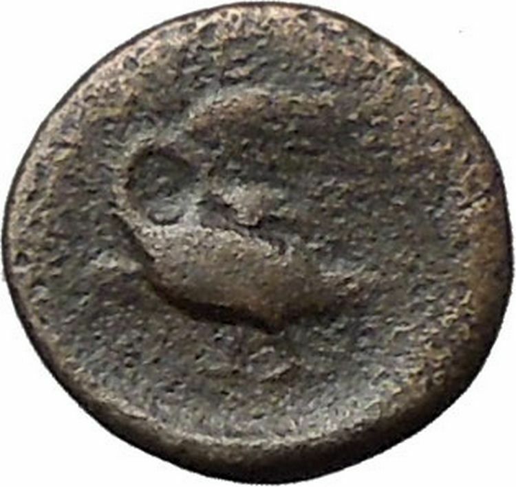 Klazomenai in Ionia 380BC Authetic Ancient Greek Coins Apollo Cult Swan i49604