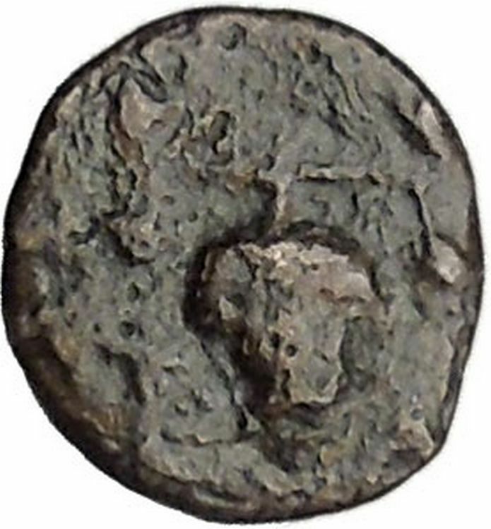 Temnos in Aeolis 350BC Ancient Greek Coin Dionysus Bacchus Cult Grapes i47873