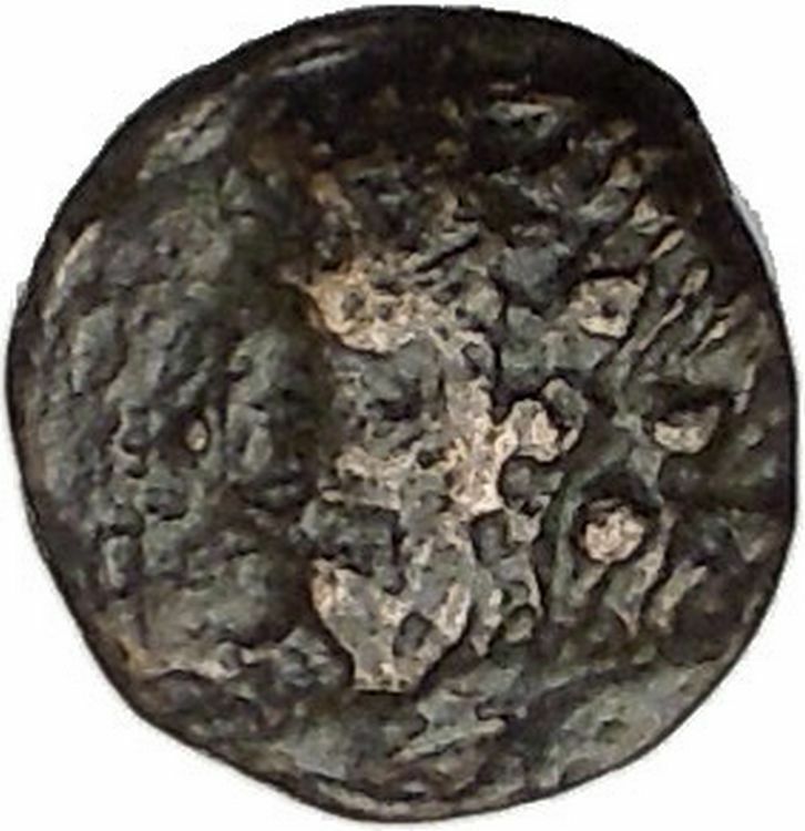 Temnos in Aeolis 350BC Ancient Greek Coin Dionysus Bacchus Cult Grapes i47873