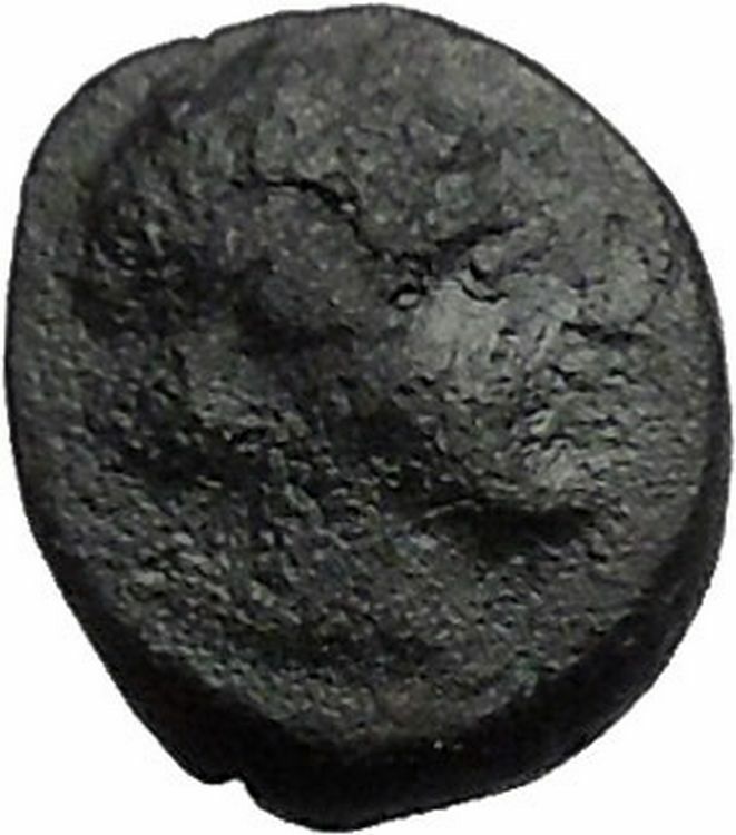 Antiochos III the Great 223BC RARE R1 Seleukid King Greek Coin Elephant i54827