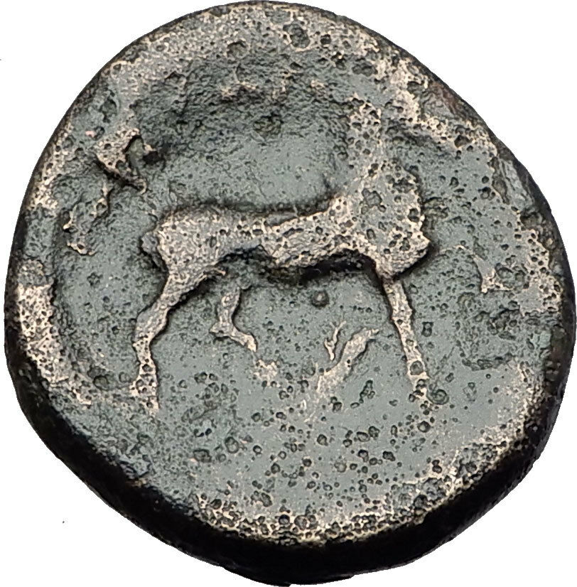 LARISSA in Thessaly 350BC Nymph & Horse on Authentic Ancient Greek Coin i59599