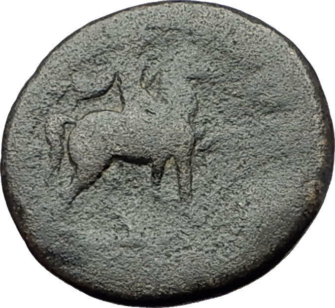 TOMARA in LYDIA Rare 138AD Ancient Greek Coin under Romans ATHENA APOLLO i61373