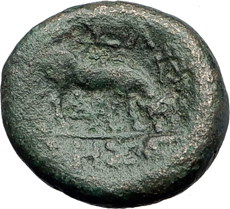 PELLA in MACEDONIA 148BC Scarce Authentic Ancient Greek Coin DEMETER BULL i61550