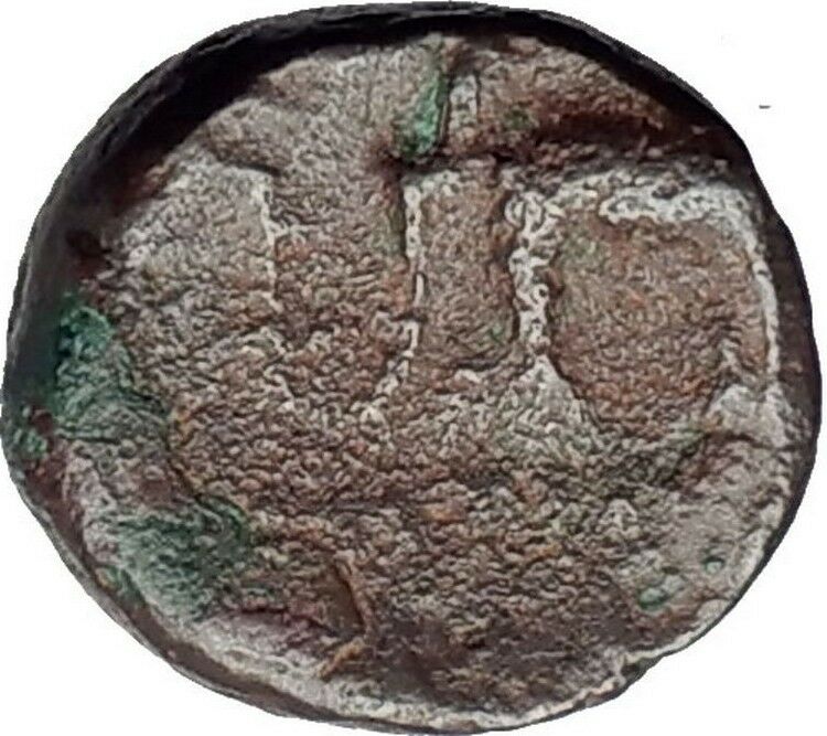 ANTIOCHOS III the GREAT - Rare R1 Ancient Greek SELEUKID Coin ELEPHANT i63174