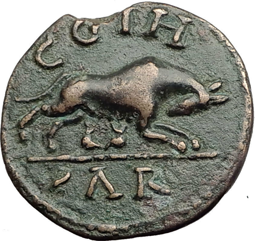 Severus Alexander - Parion Parium Mysia Authentic Ancient Roman Coin WOLF i64813