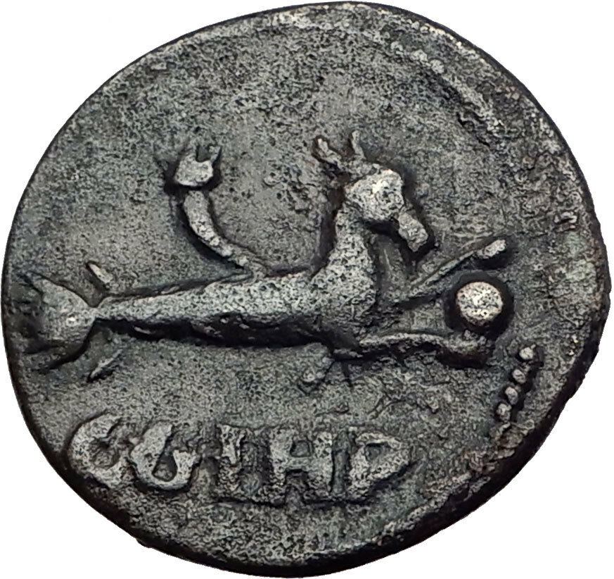 ELAGABALUS 218AD Genuine Parion Parium Mysia Ancient Roman Coin CAPRICORN i65177