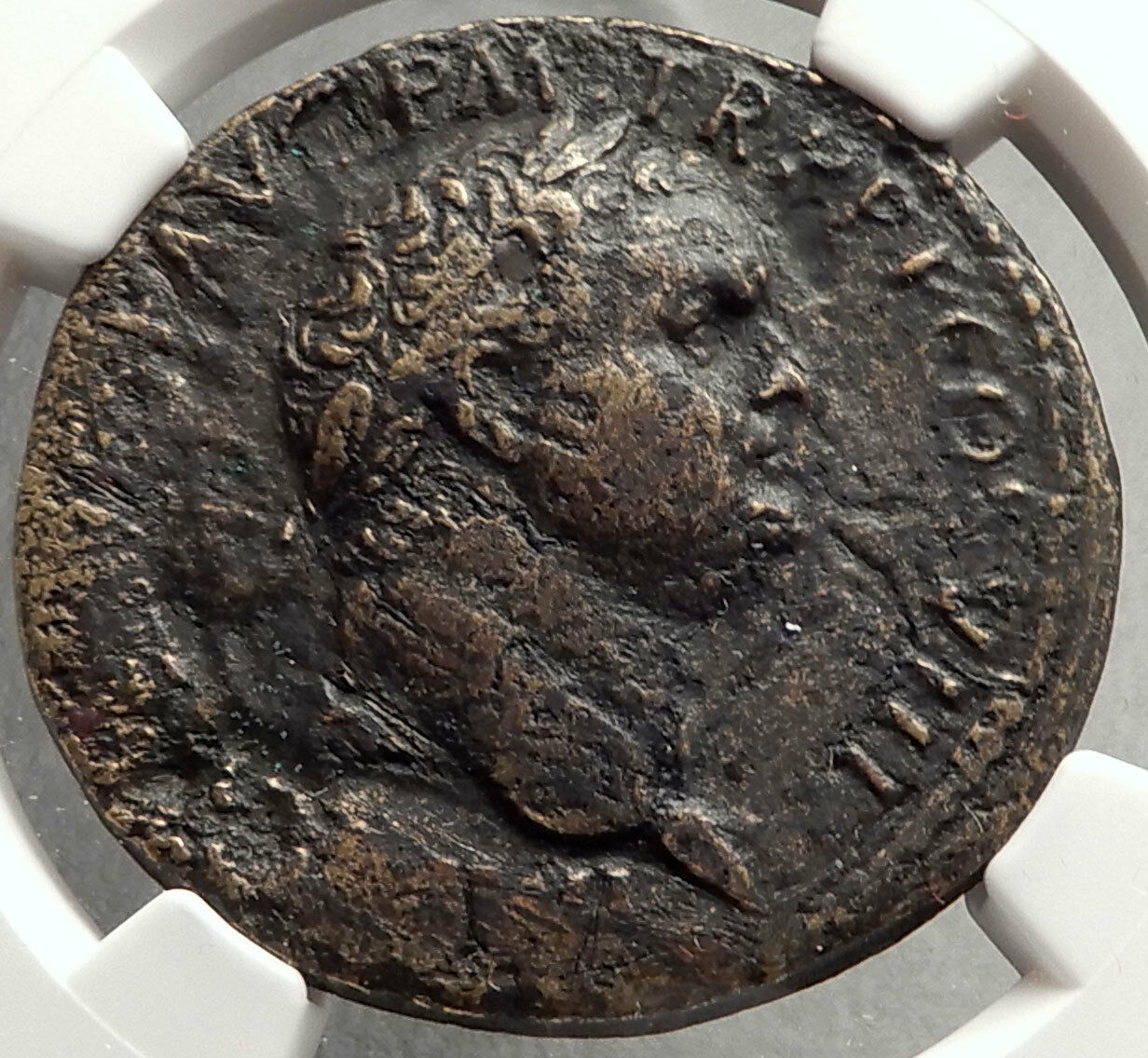 TITUS Genuine 80AD Rome Sestertius Spes Authentic Ancient Roman Coin NGC i66862