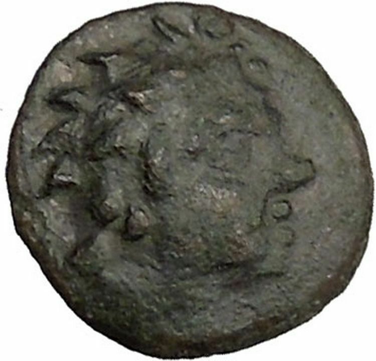 PANTIKAPAION in TAURIC CHERSONESOS 150BC Pan Caps of Dioscuri Greek Coin i38356