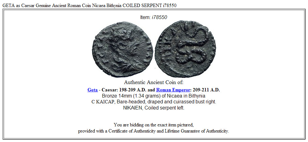 GETA as Caesar Genuine Ancient Roman Coin Nicaea Bithynia COILED SERPENT i78550