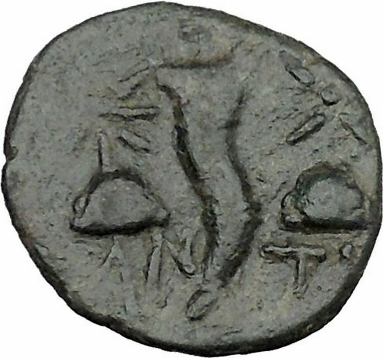 PANTIKAPAION in TAURIC CHERSONESOS 3-2CenBC Pan Cornucopia Greek Coin i38340