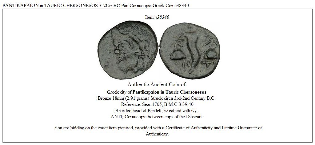 PANTIKAPAION in TAURIC CHERSONESOS 3-2CenBC Pan Cornucopia Greek Coin i38340