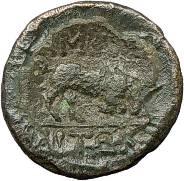 Amphipolis in Macedonia 148BC Rare Ancietn Greek Coin Apollo Bull i28082