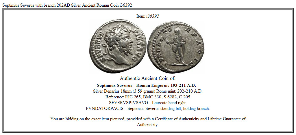 Septimius Severus with branch 202AD Silver Ancient Roman Coin i36392