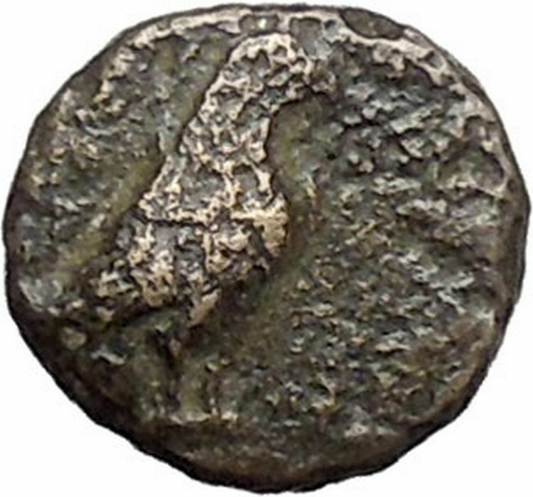 Kyme in Aeolis 350BC EAGLE & VASE on Authentic Ancient Greek Coin i48591