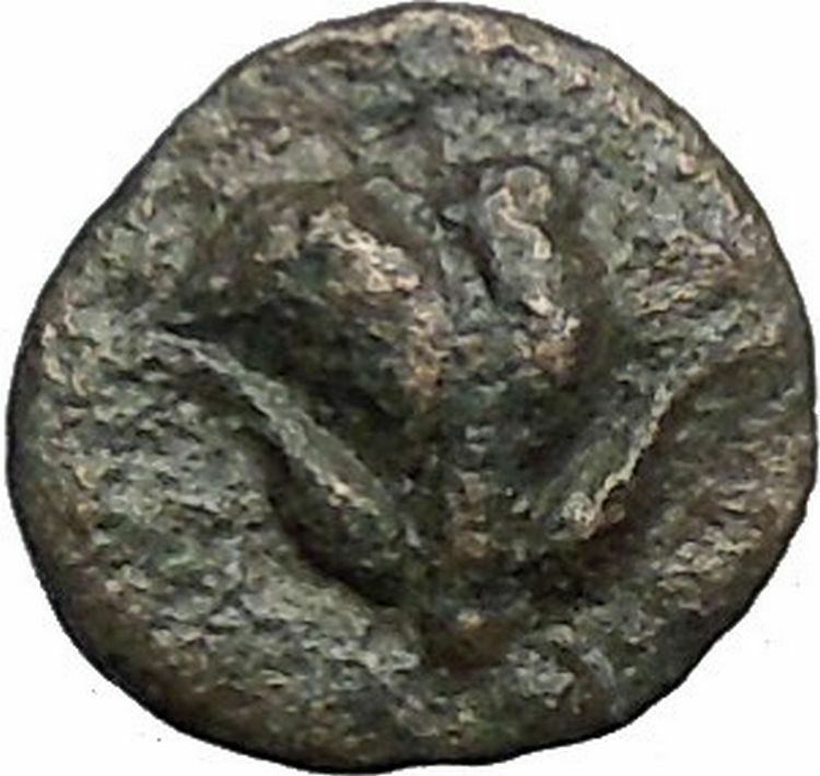 RHODES Island Off CARIA 394BC Nymph Rhodos ROSE Ancient Greek Coin i49608