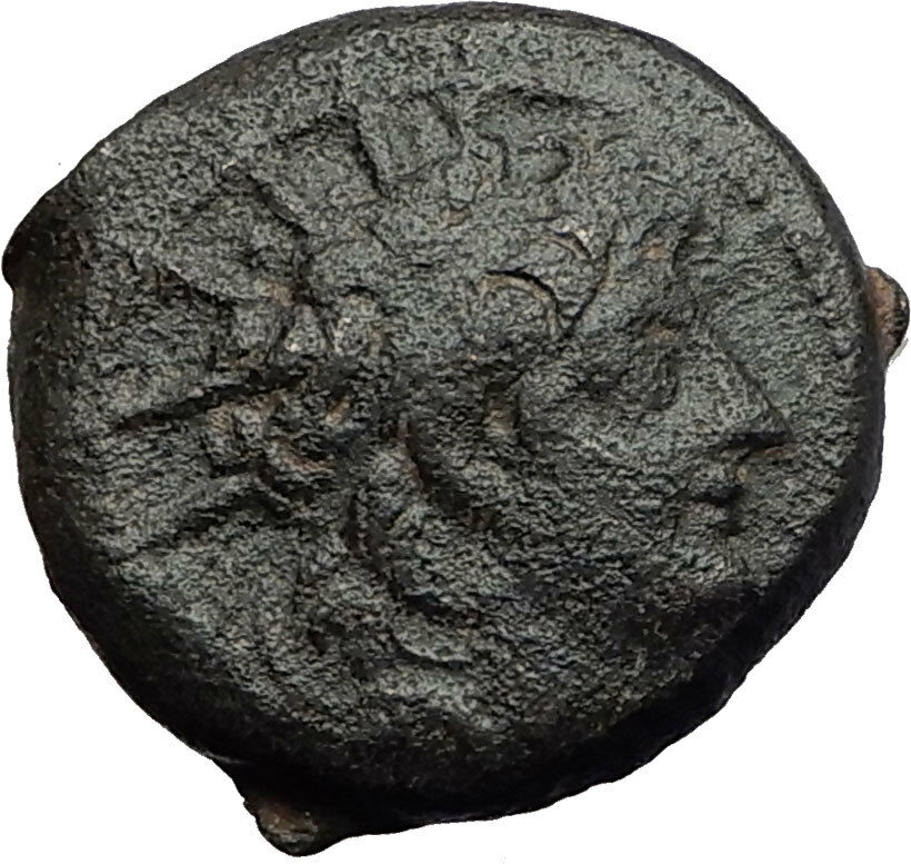 ALEXANDER II ZABINAS Seleukid Authentic Ancient Greek Coin CORNUCOPIA i60733