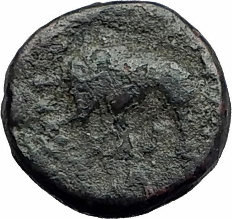 ANTIOCHOS III the GREAT - Rare R1 Ancient Greek SELEUKID Coin ELEPHANT i63256