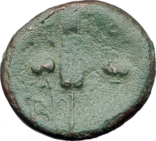 300-100BC Original Genuine Ancient GREEK CITY Coin ARTEMIS GRAIN EAR Rare i61366