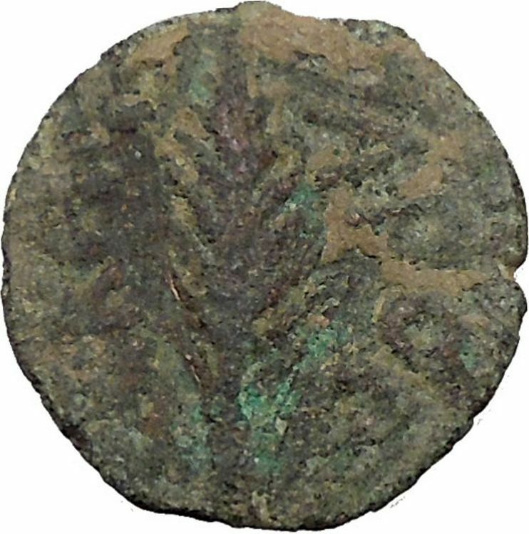 Porcius Festus Jerusalem Nero Ancient Greek / Roman Coin Palm branch i36710