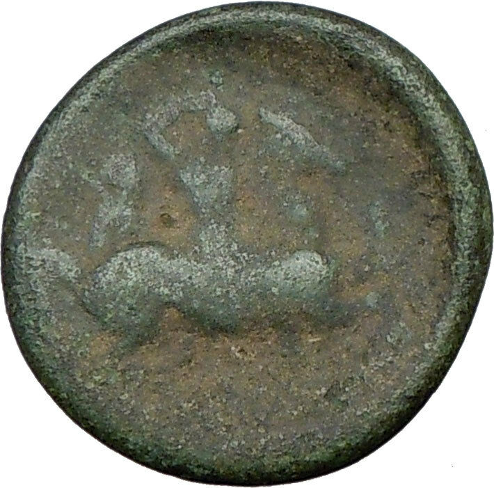 Pharsalos Thessaly 5th cent BC Ancient Greek Coin Ahena Cult Horse Rare i19552