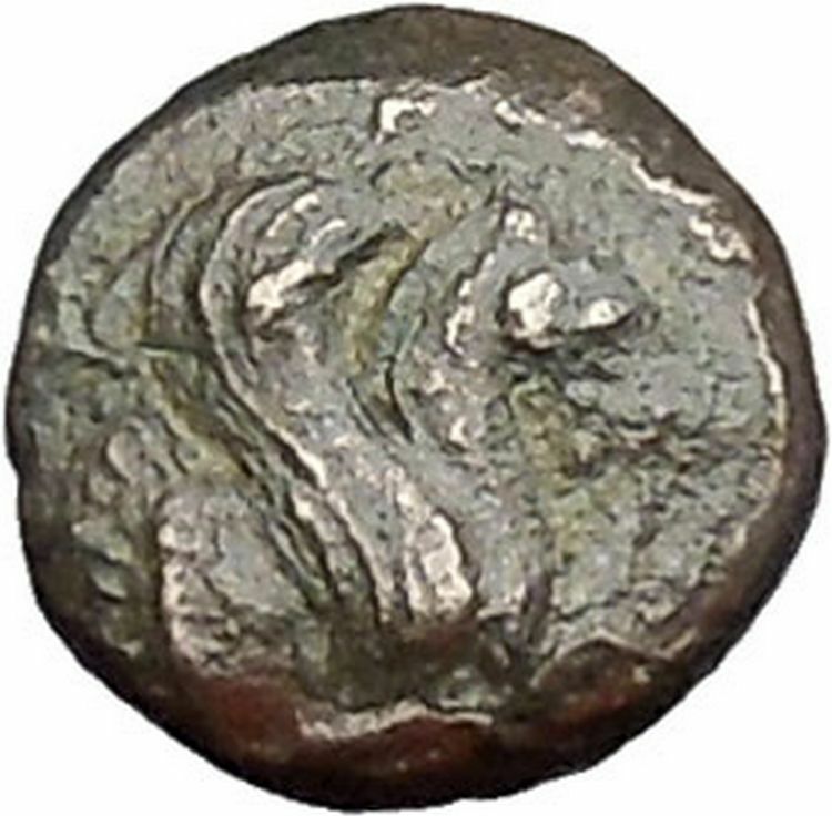 Lampsakos in Mysia 400BC Rare Ancient Greek Coin Female head Pegasus i47744