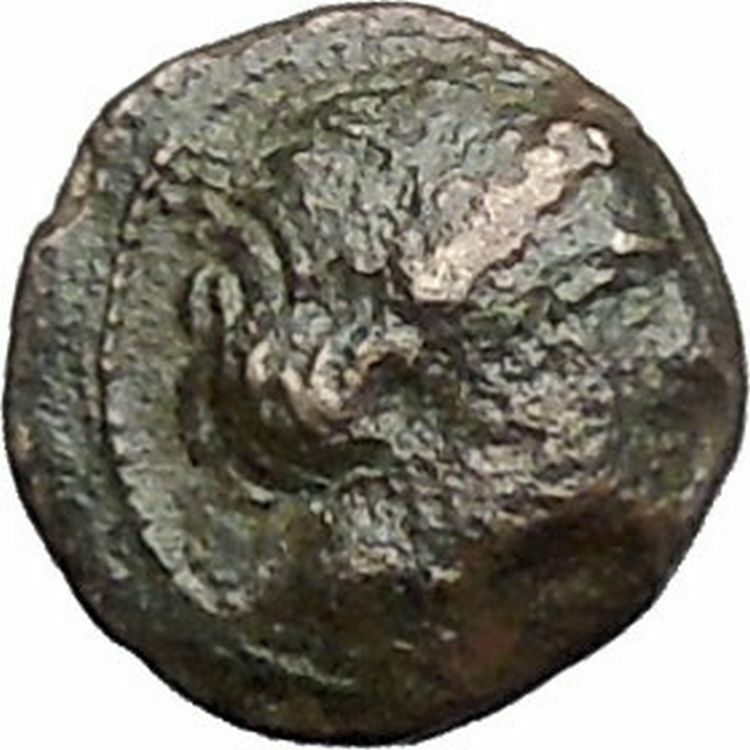 Lampsakos in Mysia 400BC Rare Ancient Greek Coin Female head Pegasus i47744