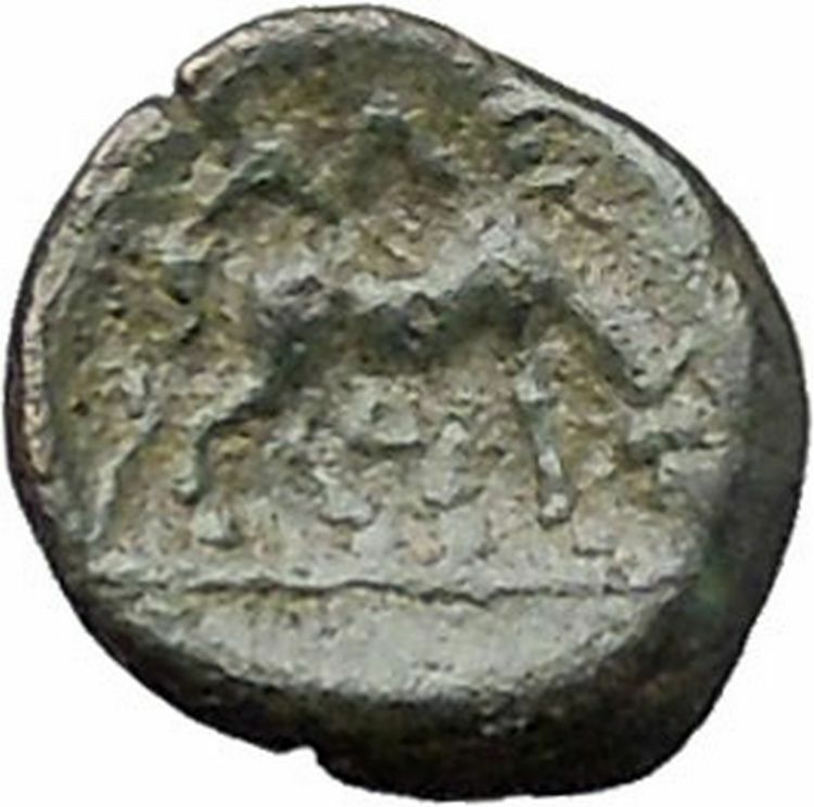 ALEXANDRIA TROAS 302BC Apollo Horse RARE Quarter Unit Ancient Greek Coin i47749