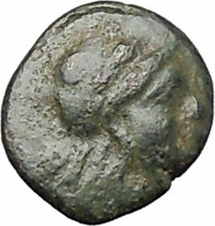 ALEXANDRIA TROAS 302BC Apollo Horse RARE Quarter Unit Ancient Greek Coin i47749