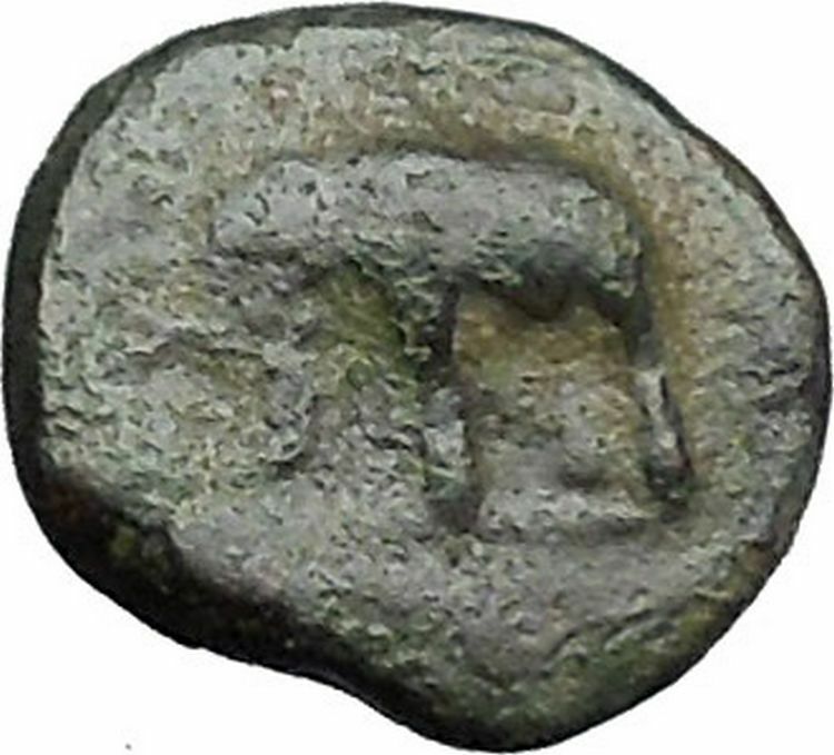 Antiochos III the Great 223BC RARE Ancient Greek Coin Elephant i49752