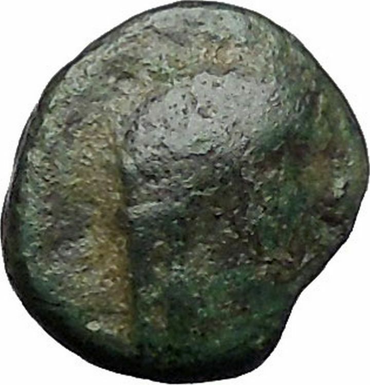 Antiochos III the Great 223BC RARE Ancient Greek Coin Elephant i49752