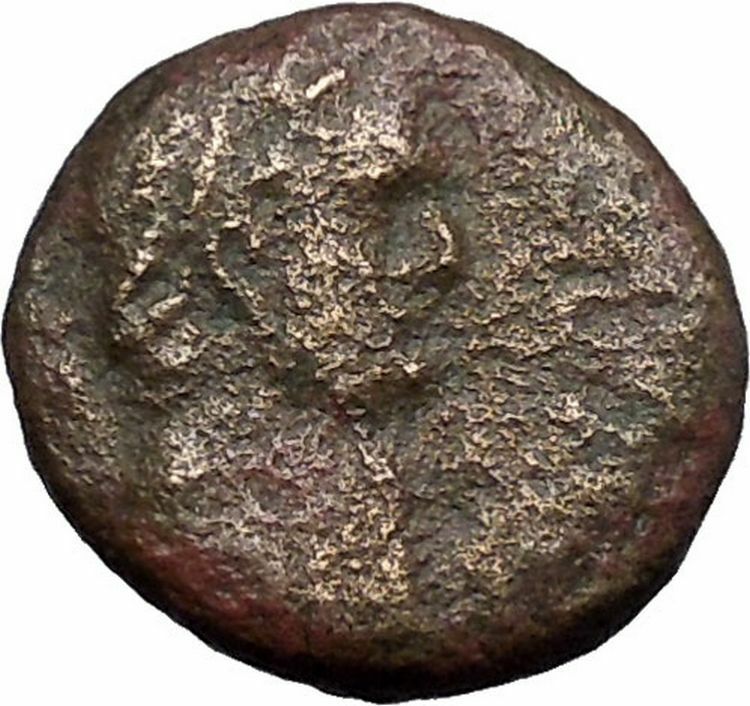 DOMITIAN 95AD Ascalon in Judaea Phanebal Authentic Ancient Roman Coin i49443