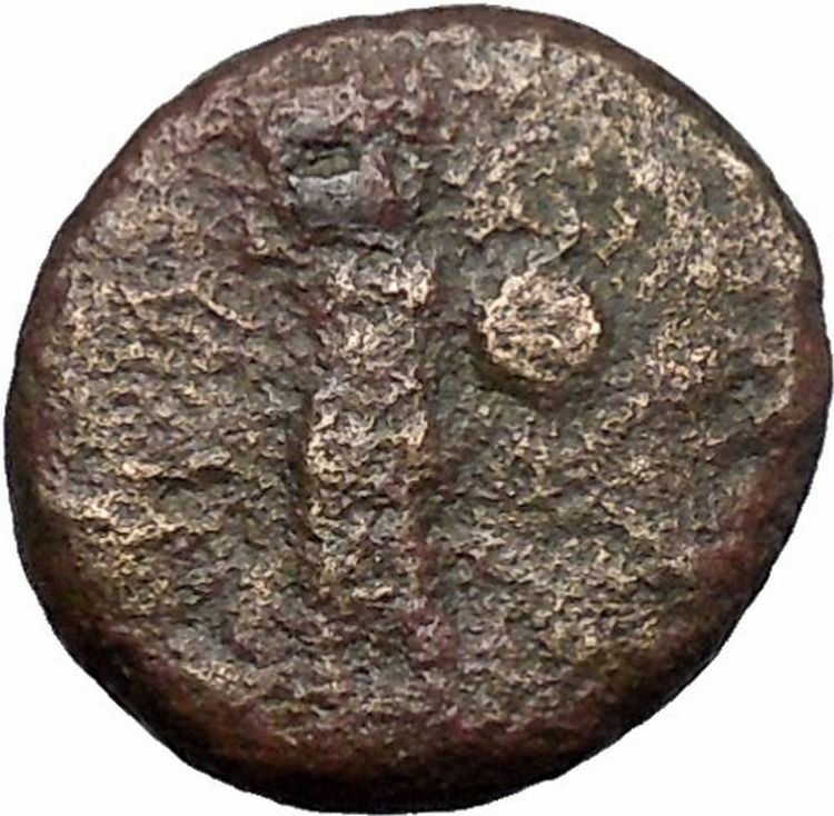 DOMITIAN 95AD Ascalon in Judaea Phanebal Authentic Ancient Roman Coin i49443