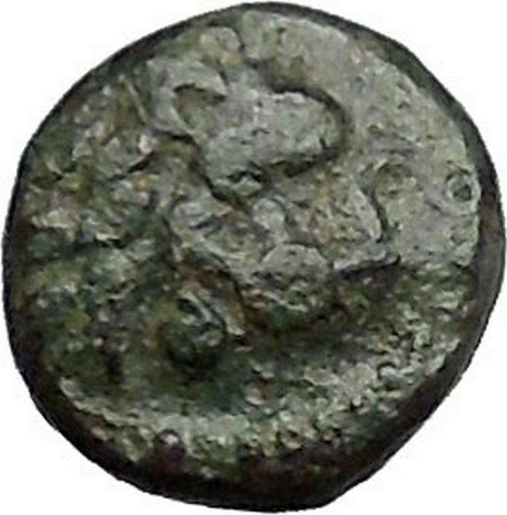 Lysimacheia in Thrace 309BC RARE Ancient Greek Coin LION Grain ear i49728