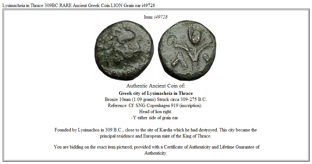 Lysimacheia in Thrace 309BC RARE Ancient Greek Coin LION Grain ear i49728
