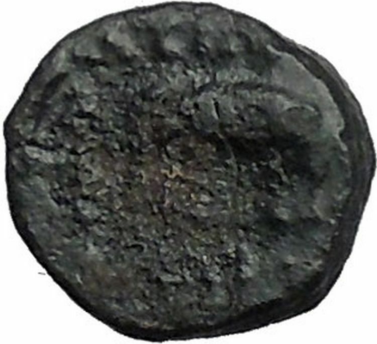 Antiochos III the Great 223BC RARE R1 Seleukid King Greek Coin Elephant i54822