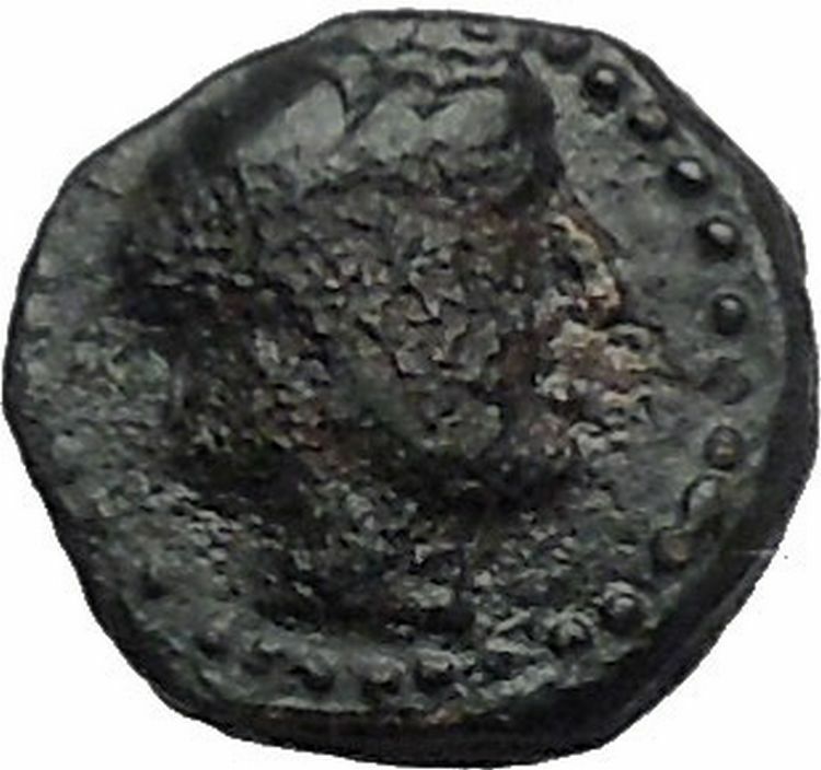 Antiochos III the Great 223BC RARE R1 Seleukid King Greek Coin Elephant i54822