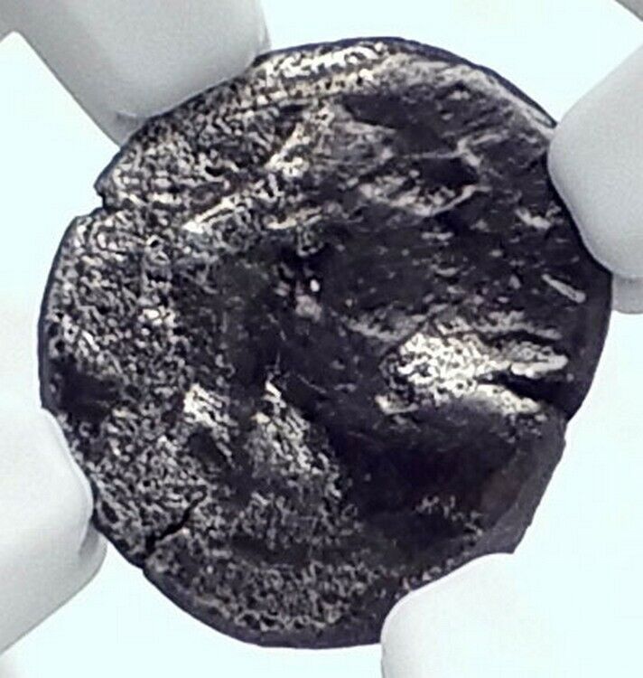 SPARAKDOKOS Kingdom of Thrace Silver Greek Coin 460BC Horse Lion NGC i81128