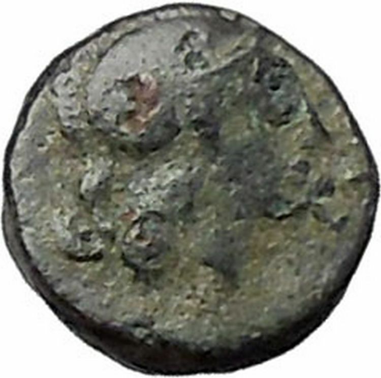 PERGAMON in MYSIA 310BC Hecules Athena Authentic Ancient Greek Coin i48670