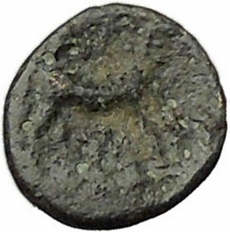 ALEXANDRIA TROAS 302BC Apollo Horse RARE Quarter Unit Ancient Greek Coin i47870