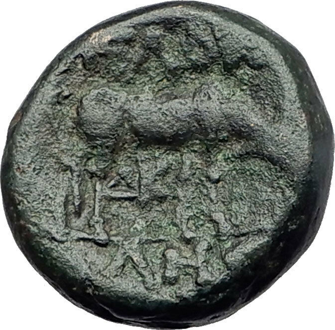 PELLA in MACEDONIA 148BC Athena Bull Genuine Authentic Ancient Greek Coin i61429