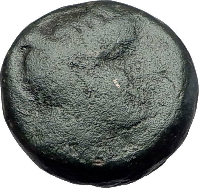 PELLA in MACEDONIA 148BC Athena Bull Genuine Authentic Ancient Greek Coin i61429