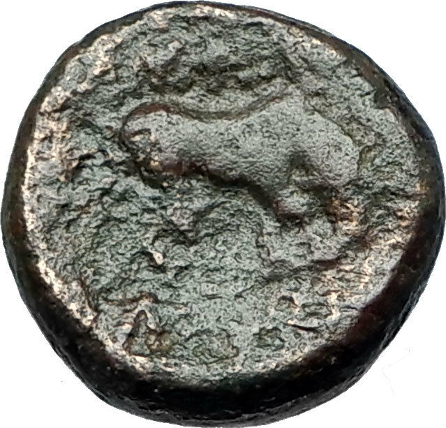 AMPHIPOLIS in MACEDONIA 148BC RARE R2 Ancient Greek Coin ATHENA BULL i67916