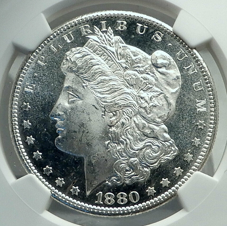 1880 UNITED STATES of America SILVER Morgan US Dollar Coin EAGLE NGC i79595