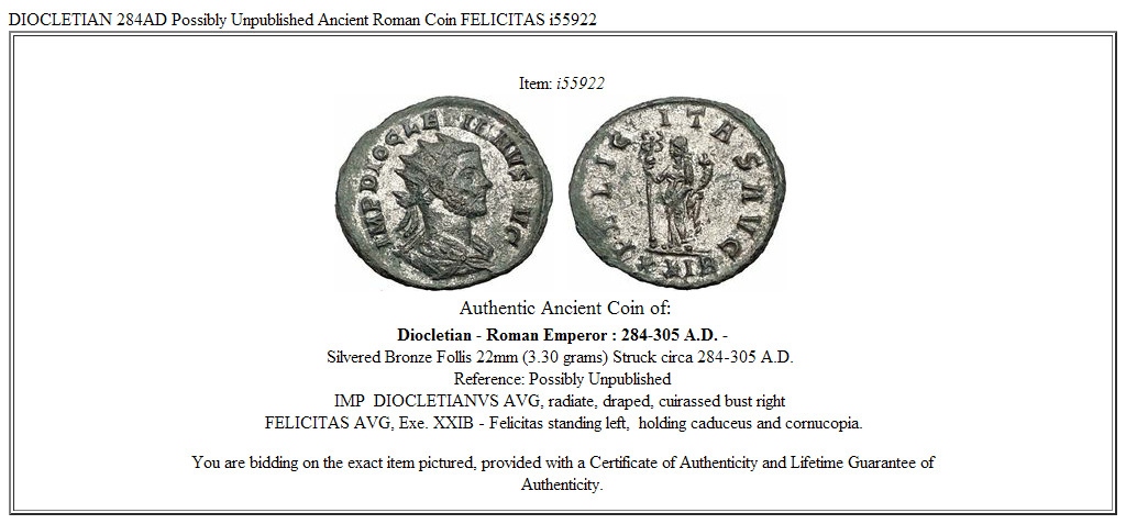 DIOCLETIAN 284AD Possibly Unpublished Ancient Roman Coin FELICITAS i55922