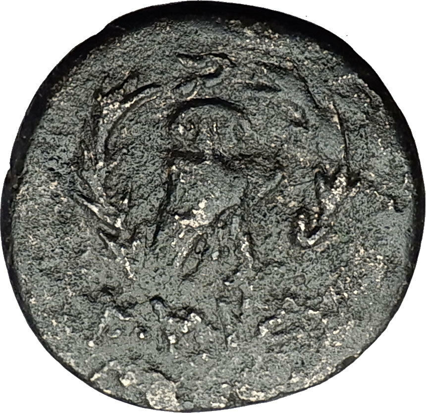 AMISOS in PONTUS 95BC Mithradates VI Time Artemis Owl Ancient Greek Coin i58383