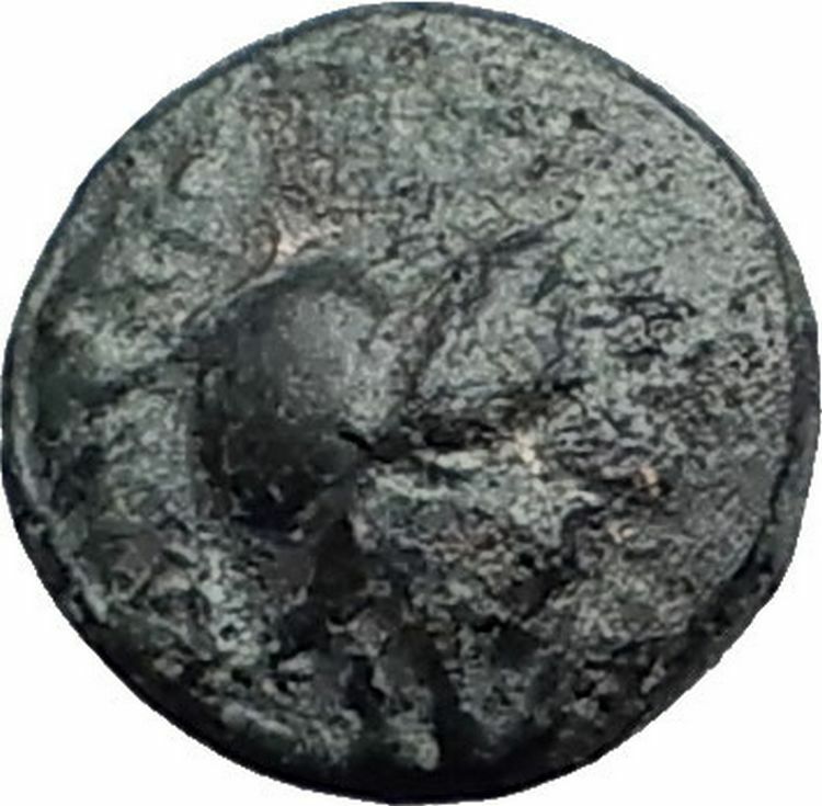 MYRINA in AEOLIS 4-3CenBC ATHENA AMPHORA Authentic Ancient Greek Coin i59782