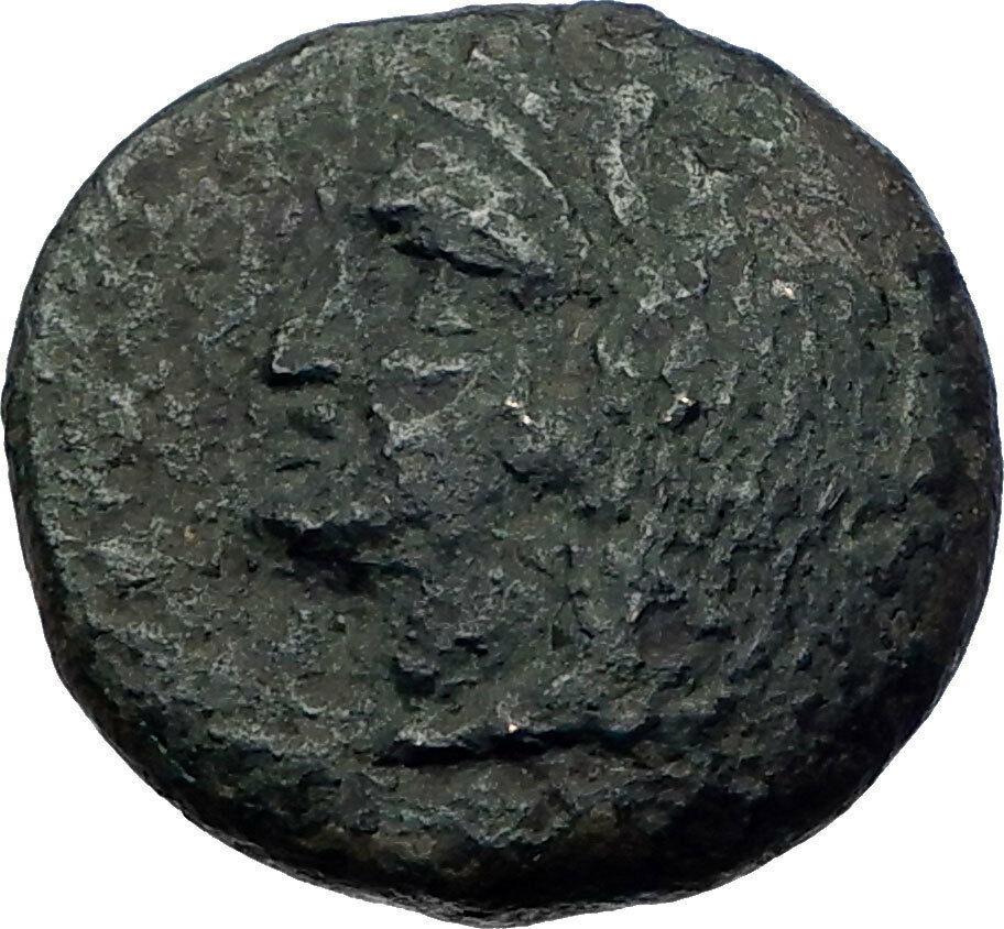 HIMERA as Thermai Himerensis in Sicily RARE 407BC Ancient Greek Coin HERA i73958