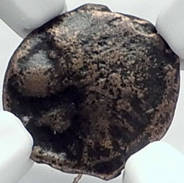 CHERSONESOS in THRACE Authentic Ancient 386BC Greek Coin LION GRAIN NGC i82078